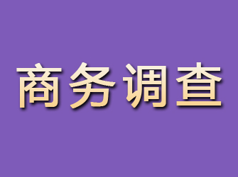 甘井子商务调查